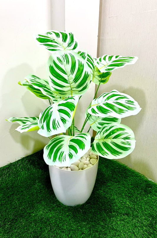 Artificial  Plant | with Basic Black Pot | 78.7 cm-85.2cm Tall Plant | Big Artificial  Plant | with Pot and marble | 80.5 cm Tall Plant | Big  Plant for Interior Decor/Office Decor | Durablental Plant for Interior Decor/Home Decor/Office Decor | Durable